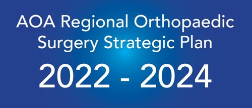 Regional Orthopaedic Surgery Strategic Plan 22-24_icon2